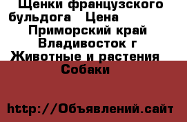 Щенки французского бульдога › Цена ­ 15 000 - Приморский край, Владивосток г. Животные и растения » Собаки   